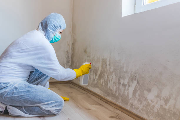 Commercial Mold Remediation assessment for commercial property in Grand Haven