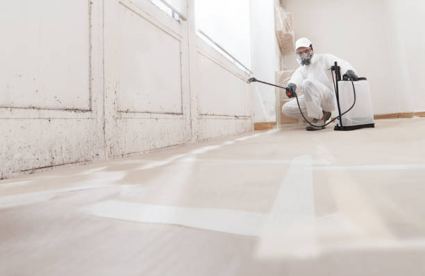 Black mold remediation team in Grand Haven